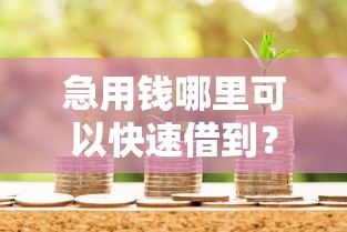 急用钱哪里可以快速借到？2026最新测评10个什么贷款平台比较靠谱