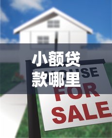 小额贷款哪里最可靠？十大平台贷款容易推荐