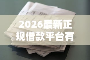 2026最新正规借款平台有哪些，总结十个征信花了还可以借钱的平台！