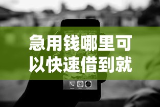 急用钱哪里可以快速借到就选这7个5000元无视黑白好下款的软件