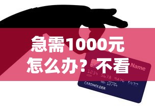 急需1000元怎么办？不看征信的贷款平台试试这5个无门槛平台