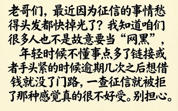 网黑能下款的口子吗,精选5个征信花了能网贷的平台