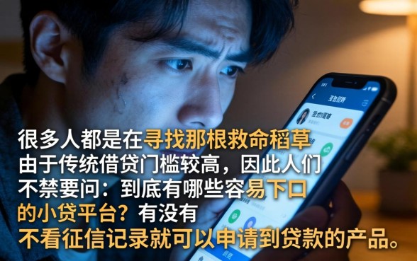 容易下口子的小贷，详细阐述五个贷款好做不看征信的软件