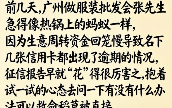 不查风控的借款口子，归集五个逾期太多能下款口子