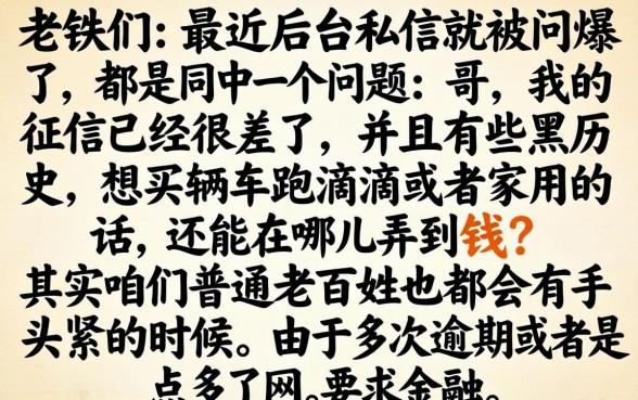 信征黑花了怎么买车，揭秘五个芝麻分700能秒下的app