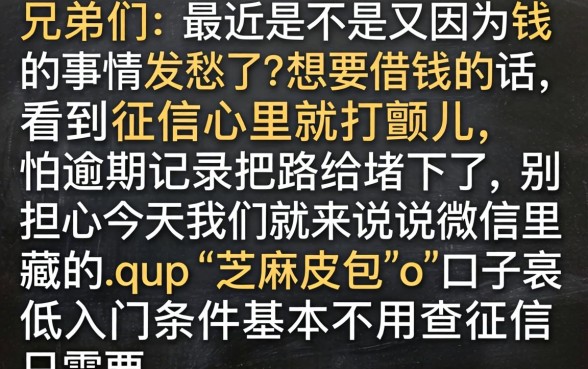 微信上的芝麻皮包，罗列5个芝麻信用600贷款平台