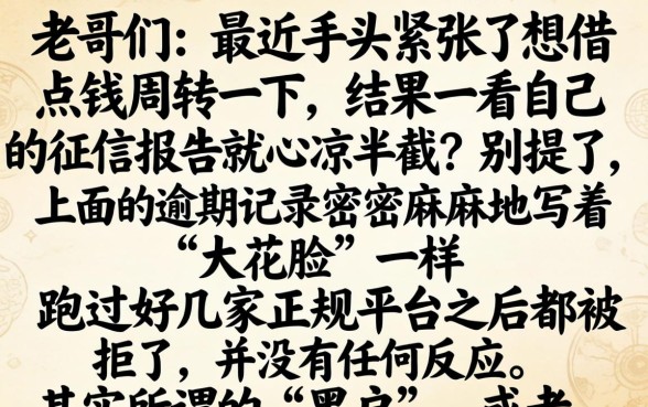 无视黑白贷款的口子，枚举五个无视逾期大数据花户黑户口子