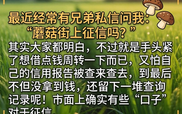 蘑菇街不上征信吗，胪列5个秒批网贷轻松贷的平台
