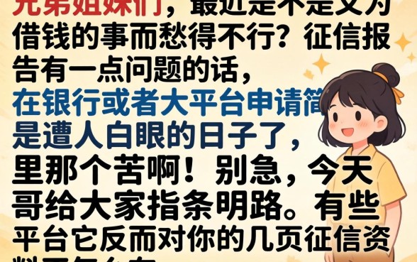 贷款叫我提供芝麻分，规整5个周周到贷款相同系列的口子