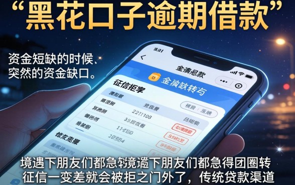黑花口子逾期借款，鼎力推荐五个真正无视征信花的平台