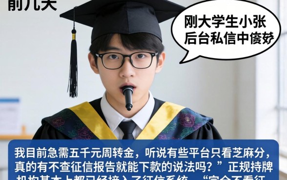 大学生芝麻分借款,概览五个不上征信报告的贷款平台