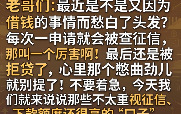 下款额度高的口子，概览5个无视黑白户口子