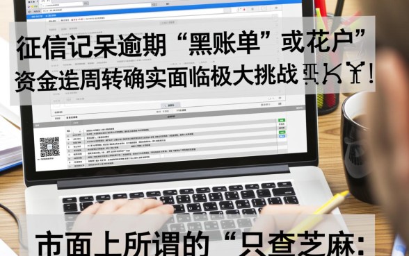征信黑了能贷款吗,只查芝麻分不看征信的贷款 只查芝麻分不看征信的贷款