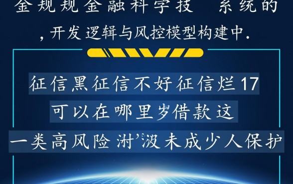 17岁征信黑可以在哪里借款,未成年征信不好能下款吗 17岁征信黑可以在哪里借款