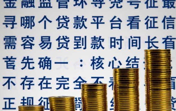 哪个贷款平台不看征信