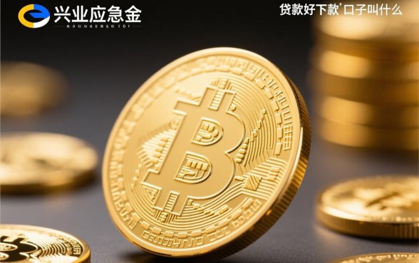 类似兴业应急金的贷款好下款的口子叫什么