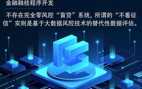 难道真的有贷款平台不看征信也不看负债