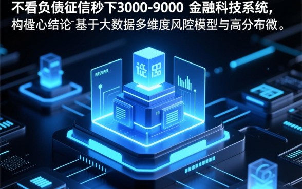 不看负债征信秒下3000