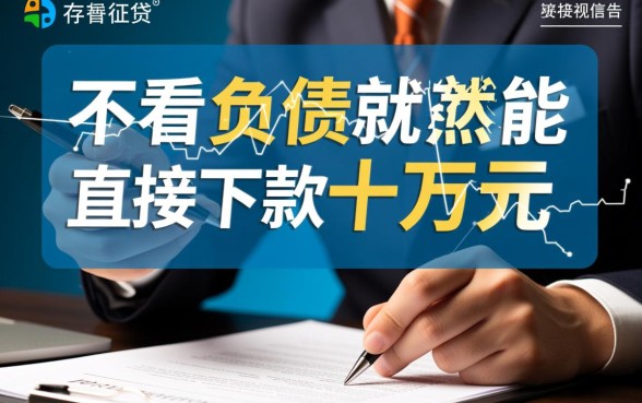 哪里可以借十万不看征信不看负债的贷款