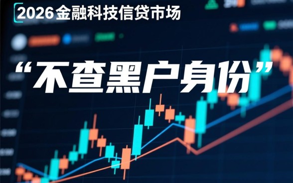 2026年下款口子为何不查黑户身份