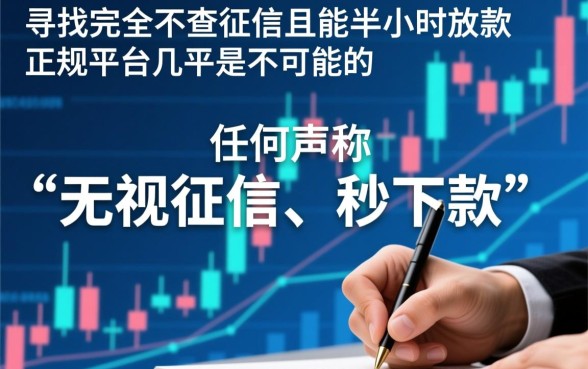 哪个借款平台不查征信半小时放款的呢