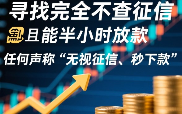 哪个借款平台不查征信半小时放款的呢