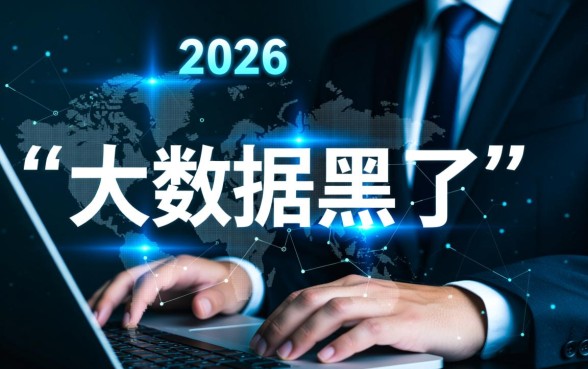 大数据黑了能下的贷款口子