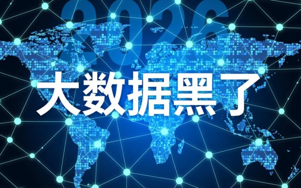 大数据黑了能下的贷款口子