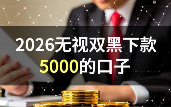2026无视双黑下款5000的口子有哪些,真的能下款吗? 2026无视双黑下款5000的口子有哪些