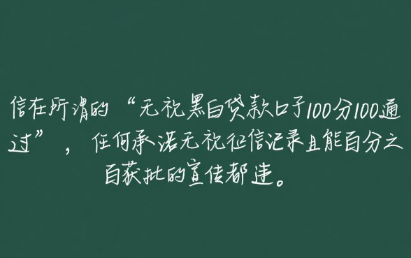 无视黑白贷款口子100分100通过吗