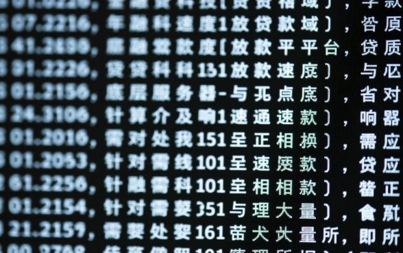 2026年网黑贷款能快速放款吗