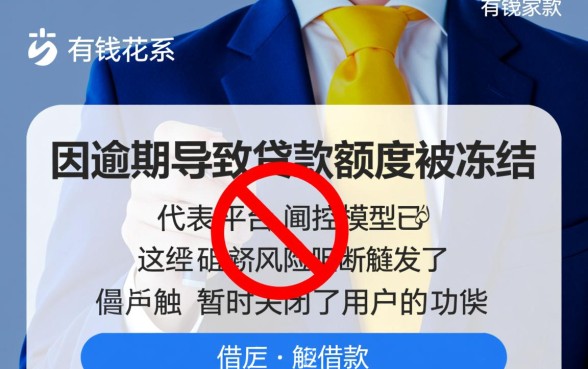 有钱花逾期说冻结贷款额度什么意思