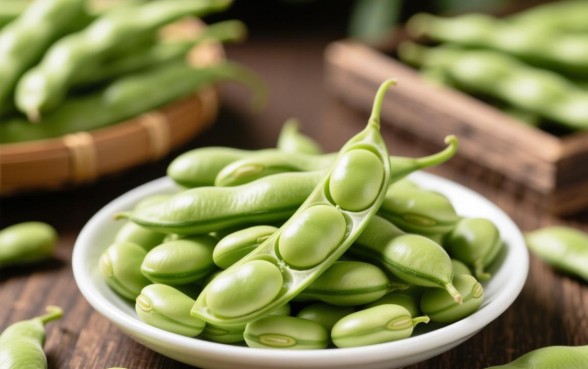 芸豆分还清后能马上申请贷款吗?额度会恢复吗? 芸豆分还清后能马上申请贷款吗