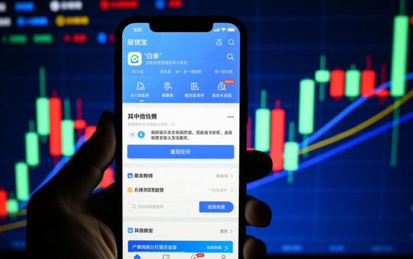 借贷宝的白条是不是真的那么受欢迎