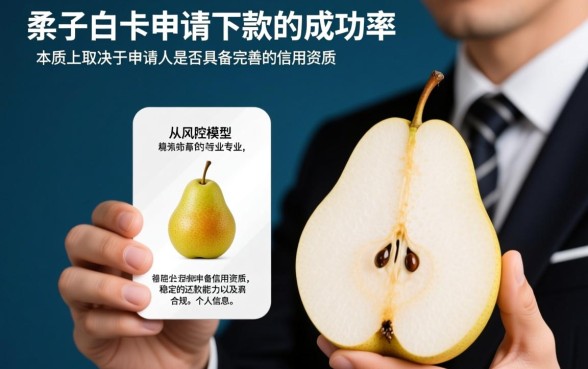 梨子白卡申请下款需要满足哪些条件,梨子白卡好下款吗 梨子白卡申请下款需要满足哪些条件