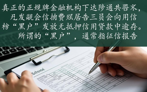 正规平台黑户能借到款的平台有哪些