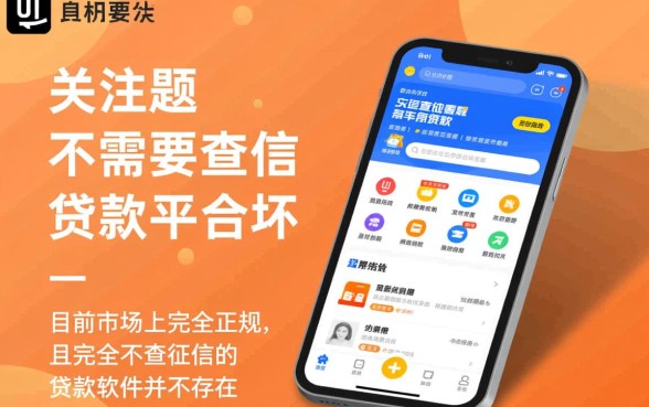不需要查征信的贷款平台有哪些软件