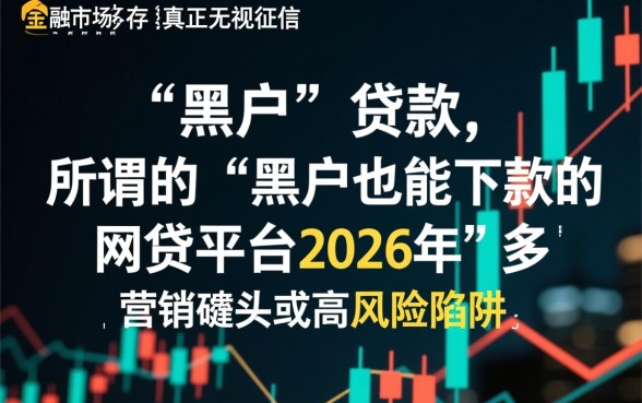 2026黑户网贷平台能下款吗