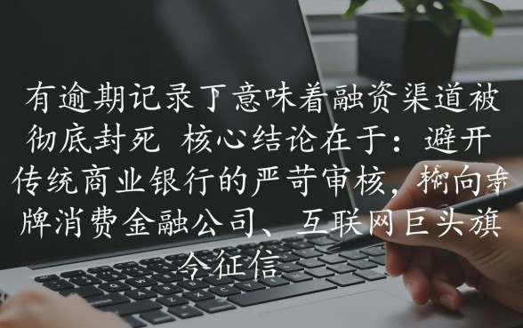 征信有过逾期在哪个平台可以贷到款,哪里容易通过? 征信有过逾期在哪个平台可以贷到款