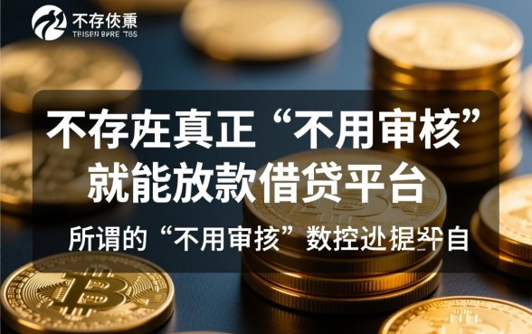 什么平台借钱不用审核就能通过审核