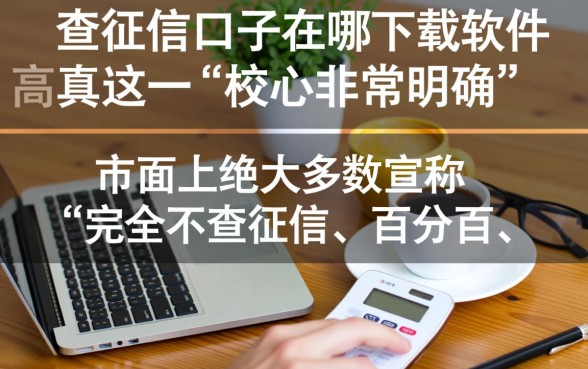 不查征信口子在哪下载的软件是真的