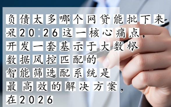 负债太多哪个网贷能批下来2026