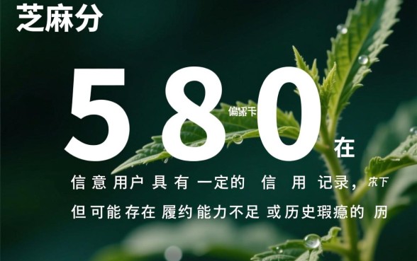 芝麻分580必下的口子有哪些,无视黑白户怎么借钱? 芝麻分580必下的口子有哪些