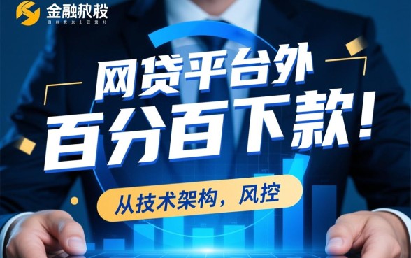 为何这些网贷平台声称百分百下款