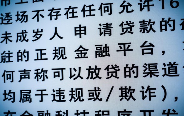 16岁可以贷款的正规平台有哪些