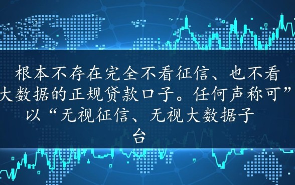 有没有不看征信不看大数据的口子