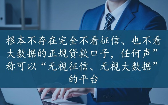 有没有不看征信不看大数据的口子