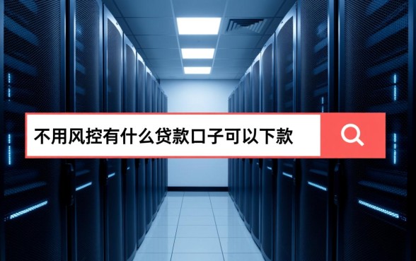 不用风控有什么贷款口子