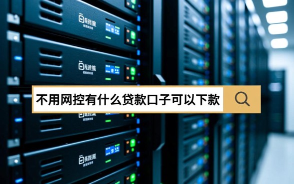 不用风控有什么贷款口子