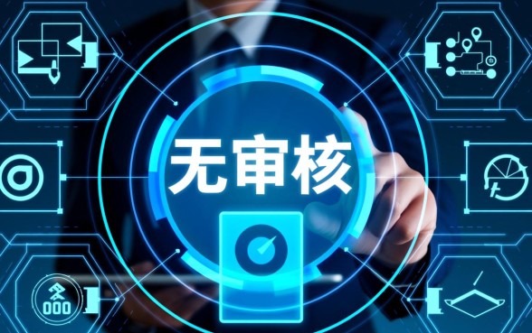 哪里有不用审核的秒放口子